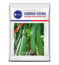 Brinjal Sarpan Green Long 101